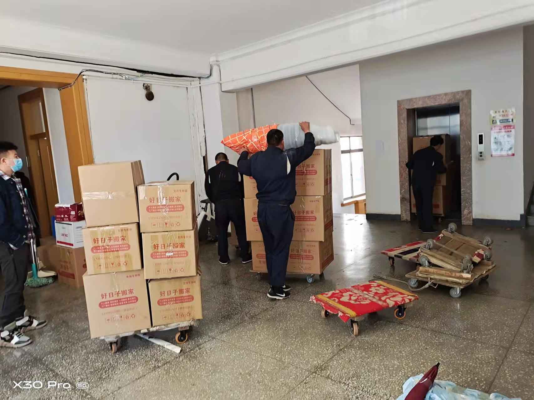 ������ (3)